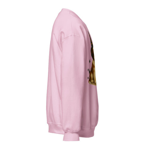 St. Bernard Witchy Dog Sweatshirt